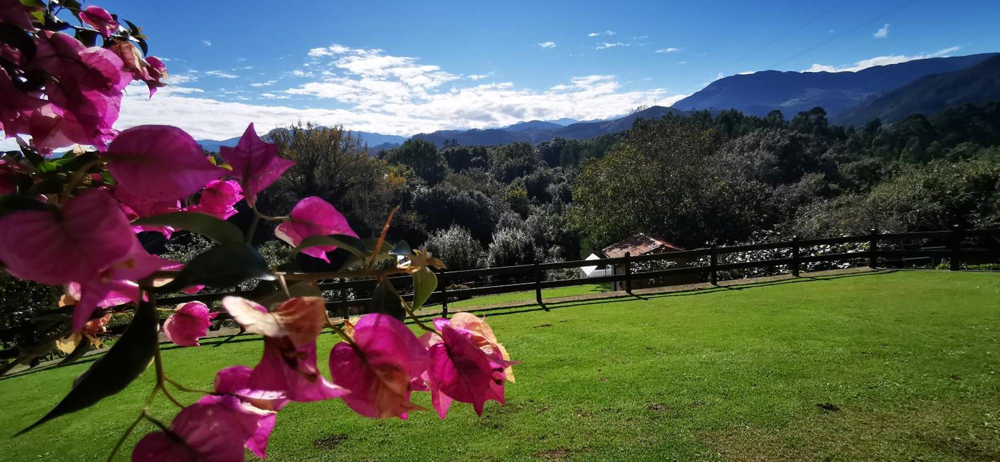 El Corral Del Acebo Nueva De Llanes